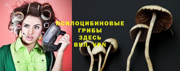 a pvp Пересвет