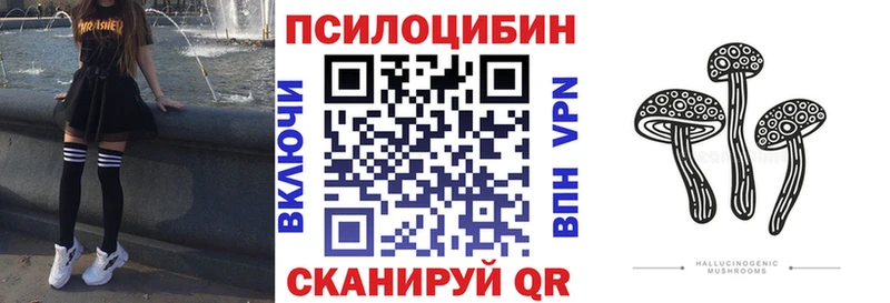Галлюциногенные грибы Cubensis  Нефтекумск 